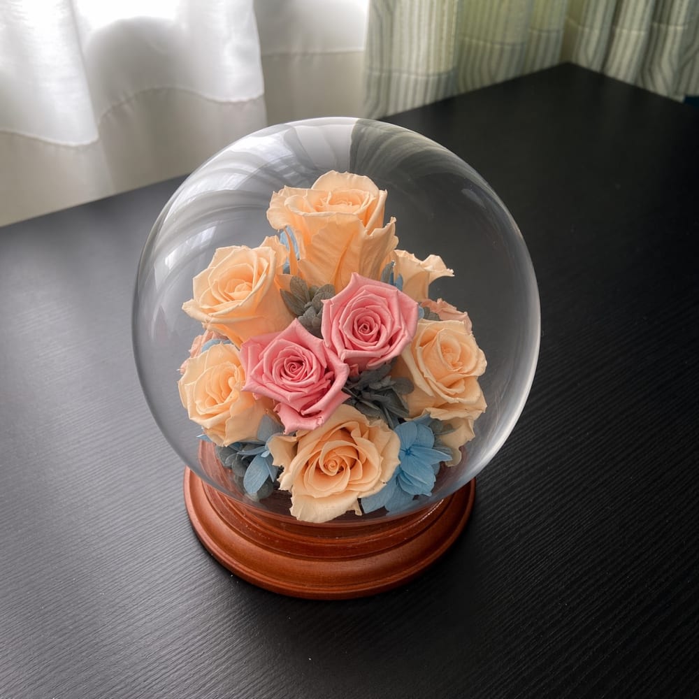 91D00D8C-ED2E-4896-A710-1ACBC315964D